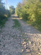 Foto: große Steine auf dem Weg an der alten Schäferei in Falkenberg 